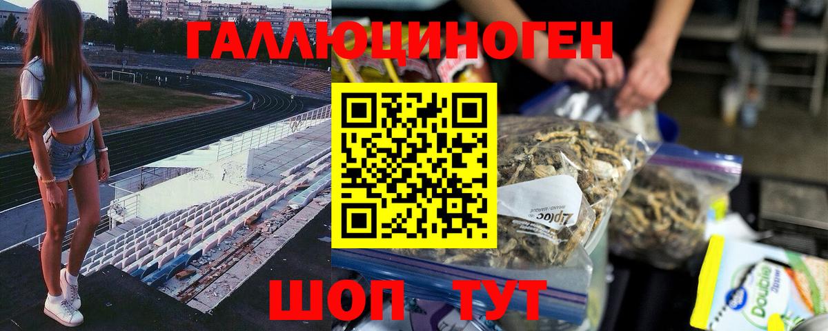 Псилоцибиновые грибы Cubensis Троицк
